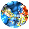 kuester_proteome_science_2014_500.100x0.jpg