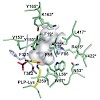 skerra_proteins13_500.100x0.jpg