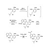 trauner_2012_totalsynthesis_500.100x0.jpg