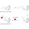 sieber_jorgchem2011_500.100x0.jpg