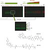 groll_chembiochem_09_500.100x0.jpg