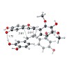 trauner_2015angewandte_chemie_international_edition_500.100x0.jpg