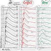 biel_froinbio_09_500.100x0.jpg