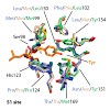 sieber_acschemical_biology2015_500.100x0.jpg