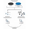 kuster_kinobead_activity_acs_chembio_2015_500-1.100x0.jpg