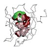 skerra_proteins15_500.100x0.jpg