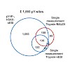 kuster_ruprecht_et_al-2016-proteomics_500.100x0.jpeg