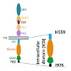 skerra-kuster-gande_et_al-2016-chembiochem_500.100x0.jpeg