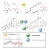 gulder-greunke_et_al-2017-angewandte_chemie_international_edition_500.100x0.jpeg