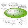 gulder-kundert_et_al-2016-angewandte_chemie_international_edition_500.100x0.jpeg