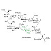 hoffmann-roder-daum_et_al-2016-european_journal_of_organic_chemistry_550.100x0.jpeg