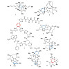 gulder-gloeckle_et_al-2018-angewandte_chemie_international_edition_550.100x0.jpeg