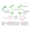 hoffmann-roeder-trauner-broichhagen_et_al-2015-angewandte_chemie_international_edition_550.100x0.jpg